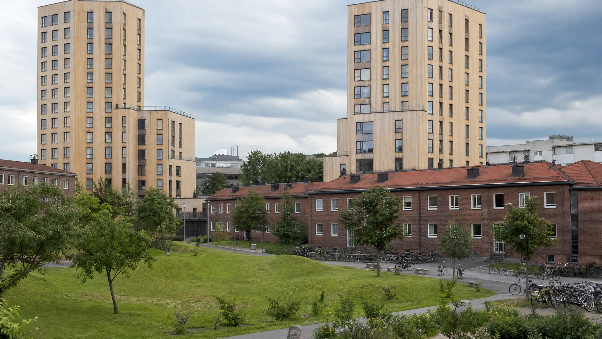 Typisk bebyggelse i Moholt